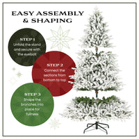 6 ft. Pre-Lit Flocked Acacia Tree with Clear Lights - National Tree Company