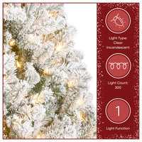 6 ft. Pre-Lit Flocked Acacia Tree with Clear Lights - National Tree Company