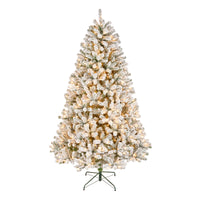 7.5 ft Pre-Lit Flocked Acacia Tree with Clear Lights - National Tree Company