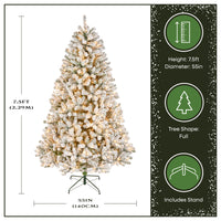 7.5 ft Pre-Lit Flocked Acacia Tree with Clear Lights - National Tree Company