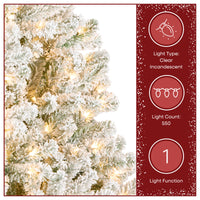 7.5 ft Pre-Lit Flocked Acacia Tree with Clear Lights - National Tree Company