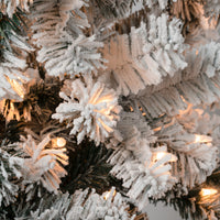 4.5 ft. Pre-Lit Acacia Flocked Tree with Clear Lights - National Tree Company