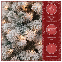 4.5 ft. Pre-Lit Acacia Flocked Tree with Clear Lights - National Tree Company
