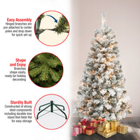 4.5 ft. Pre-Lit Acacia Flocked Tree with Clear Lights - National Tree Company