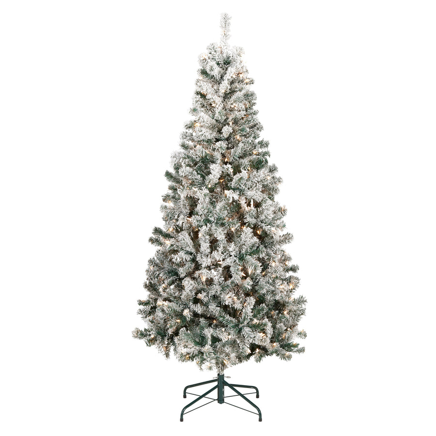 6 ft. Pre-Lit Acacia Flocked Tree with Clear Lights - National Tree Company
