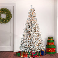 7.5 ft. Pre-Lit Acacia Flocked Tree with Clear Lights - National Tree Company