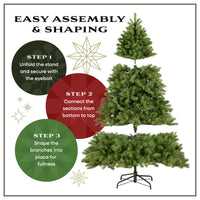 7.5 ft. Pre-Lit Acacia Hinged Tree with Clear Lights - National Tree Company