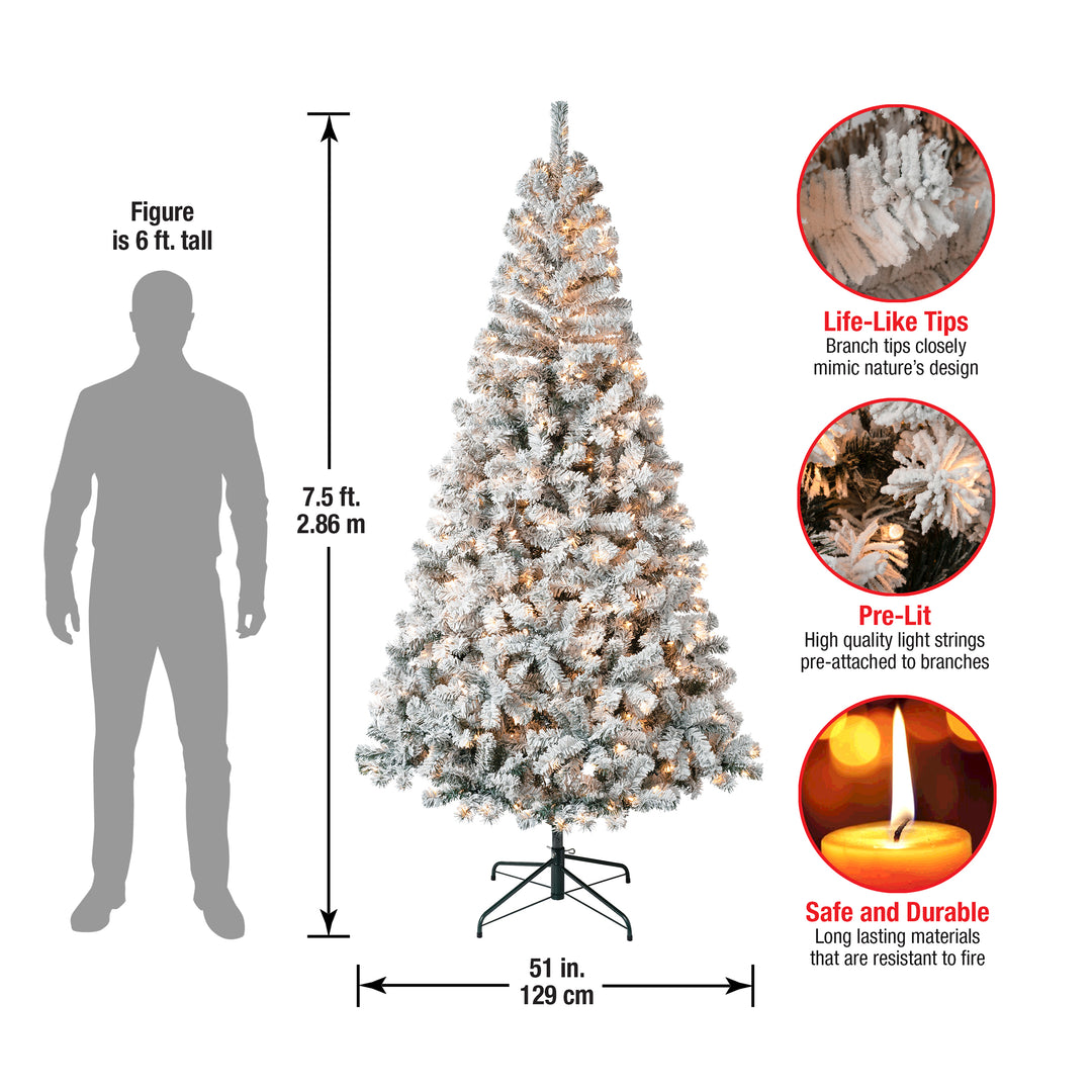 First Traditions Pre-Lit Acacia Flocked Tree  Christmas Tree, Clear Incandescent Lights, Plug In, 7.5 ft