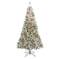 7.5 ft. Pre-Lit Acacia Hinged Tree with Clear Lights - National Tree Company
