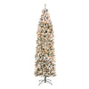 9 ft. Pre-Lit Acacia Flocked Slim Tree with Clear Lights - National Tree Company
