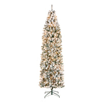 9 ft. Pre-Lit Acacia Flocked Slim Tree with Clear Lights - National Tree Company