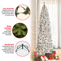 9 ft. Pre-Lit Acacia Flocked Slim Tree with Clear Lights - National Tree Company