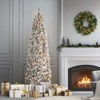 9 ft. Pre-Lit Acacia Flocked Slim Tree with Clear Lights - National Tree Company