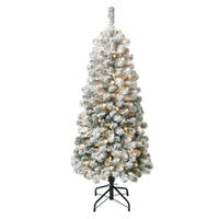 4.5 ft. Pre-Lit Acacia Flocked Tree with Clear Lights - National Tree Company