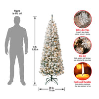 6 ft. Pre-Lit Acacia Medium Flocked Tree with Clear Lights - National Tree Company