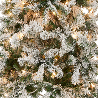 6 ft. Pre-Lit Acacia Medium Flocked Tree with Clear Lights - National Tree Company