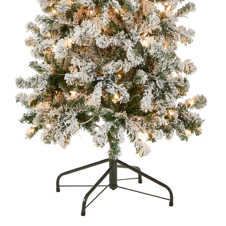 First Traditions Pre-Lit Acacia Flocked Tree Medium Christmas Tree, Clear Incandescent Lights, Plug In, 6 ft