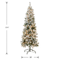 6 ft. Pre-Lit Acacia Medium Flocked Tree with Clear Lights - National Tree Company