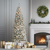 7.5 ft. Pre-Lit Acacia Medium Flocked Tree with Clear Lights - National Tree Company