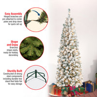 6 ft. Pre-Lit Acacia Pencil Slim Flocked Tree with Clear Lights - National Tree Company