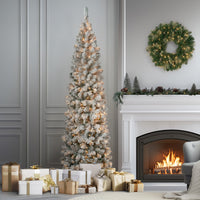 7.5 ft. Pre-Lit Acacia Pencil Slim Flocked Tree with Clear Lights - National Tree Company