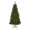 6 ft. Pre-Lit Acacia Tree with Clear Lights - National Tree Company