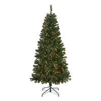 6 ft. Pre-Lit Acacia Tree with Clear Lights - National Tree Company