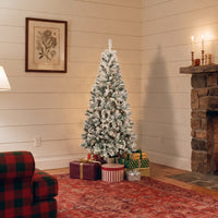 6 ft. Pre-Lit Acacia Flocked Tree with Clear Lights - National Tree Company