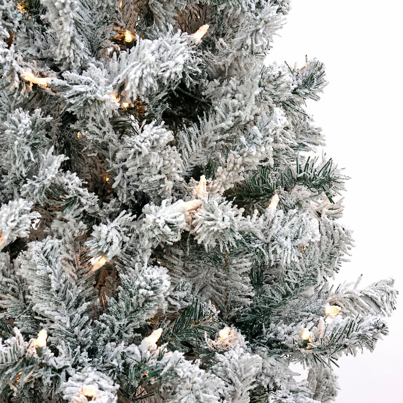 6 ft. Pre-Lit Acacia Flocked Tree with Clear Lights - National Tree Company