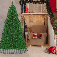 6 ft. Pre-Lit Acacia Tree with Clear Lights - National Tree Company