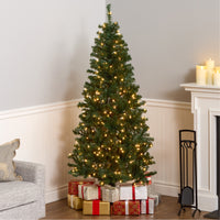 6 ft. Pre-Lit Acacia Tree with Clear Lights - National Tree Company