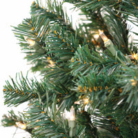 6 ft. Pre-Lit Acacia Tree with Clear Lights - National Tree Company