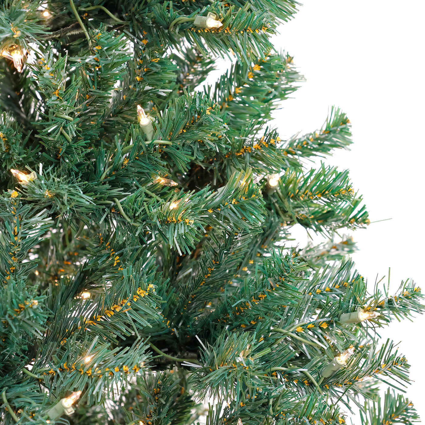 6 ft. Pre-Lit Acacia Tree with Clear Lights - National Tree Company