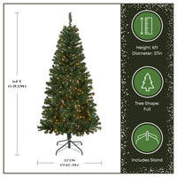 6 ft. Pre-Lit Acacia Tree with Clear Lights - National Tree Company