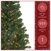 6 ft. Pre-Lit Acacia Tree with Clear Lights - National Tree Company