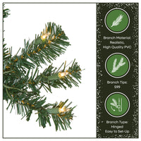 6 ft. Pre-Lit Acacia Tree with Clear Lights - National Tree Company