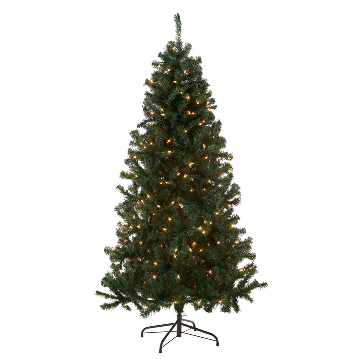 6 ft. Acacia Tree with Clear Lights