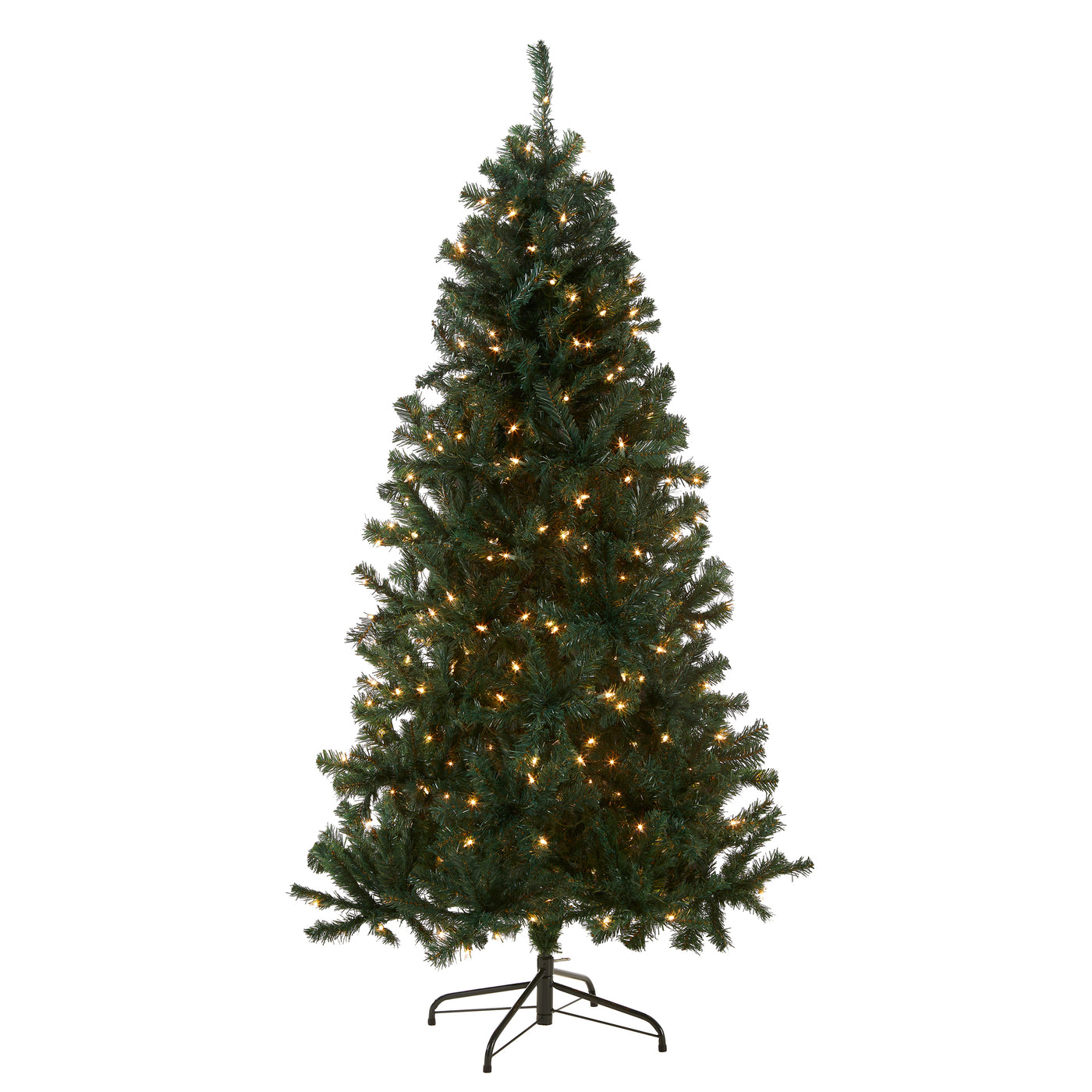 6 ft. Pre-Lit Acacia Tree with Clear Lights - National Tree Company