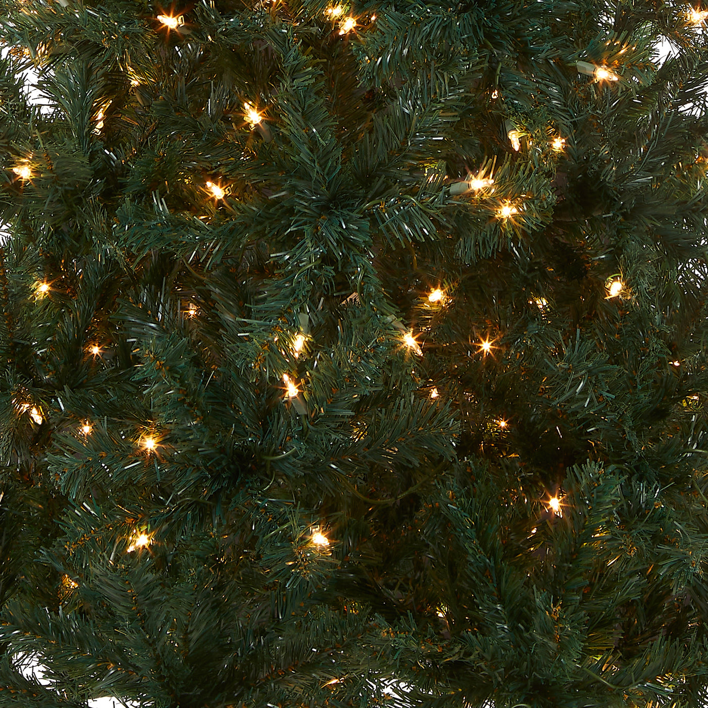 6 ft. Pre-Lit Acacia Tree with Clear Lights - National Tree Company