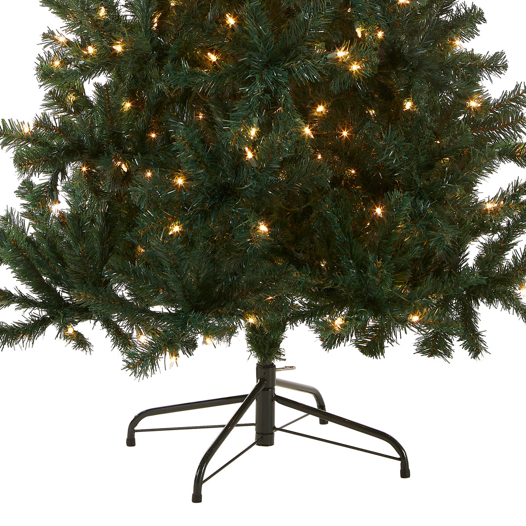 6 ft. Acacia Tree with Clear Lights