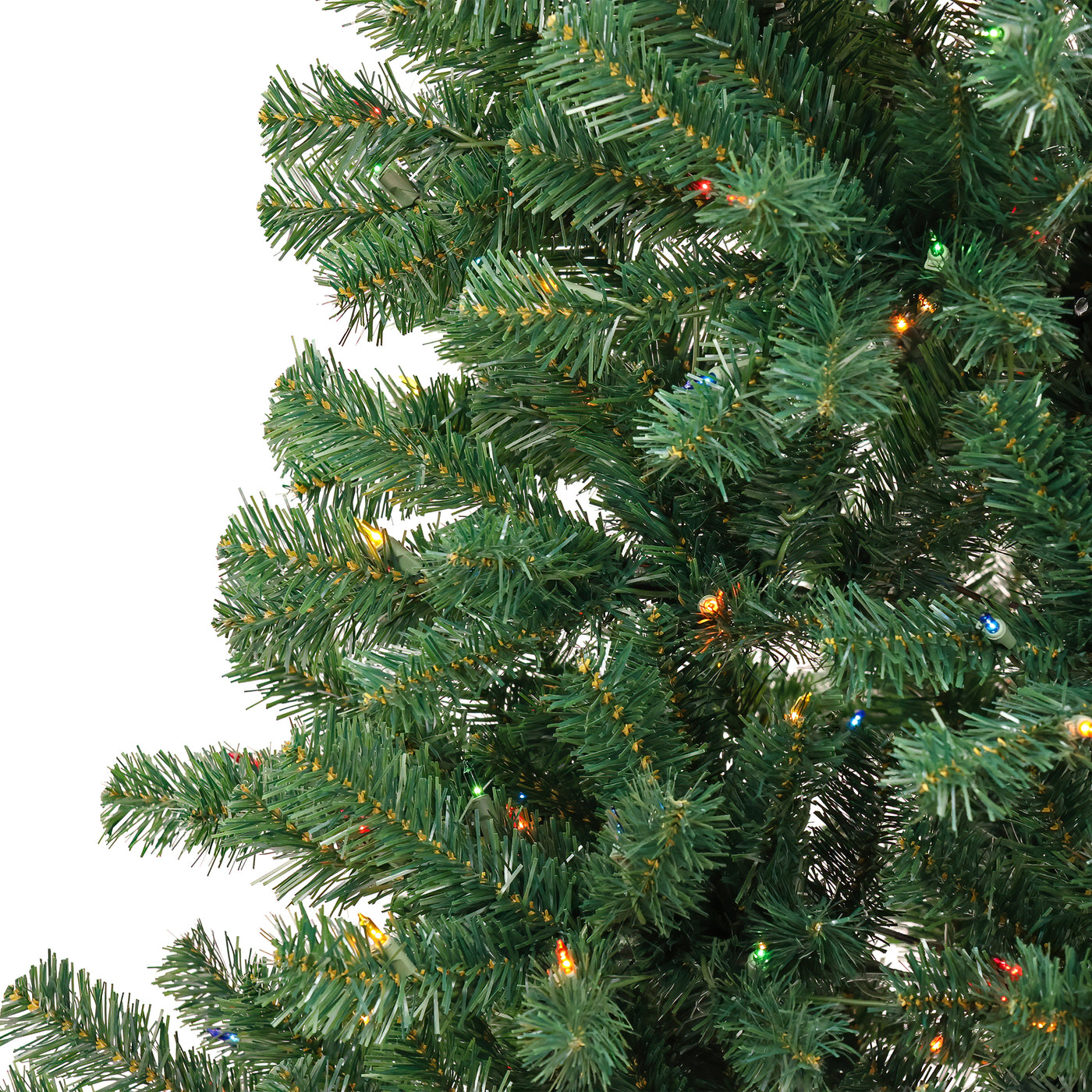 6 ft. Acacia Tree with Multicolor Lights - National Tree Company