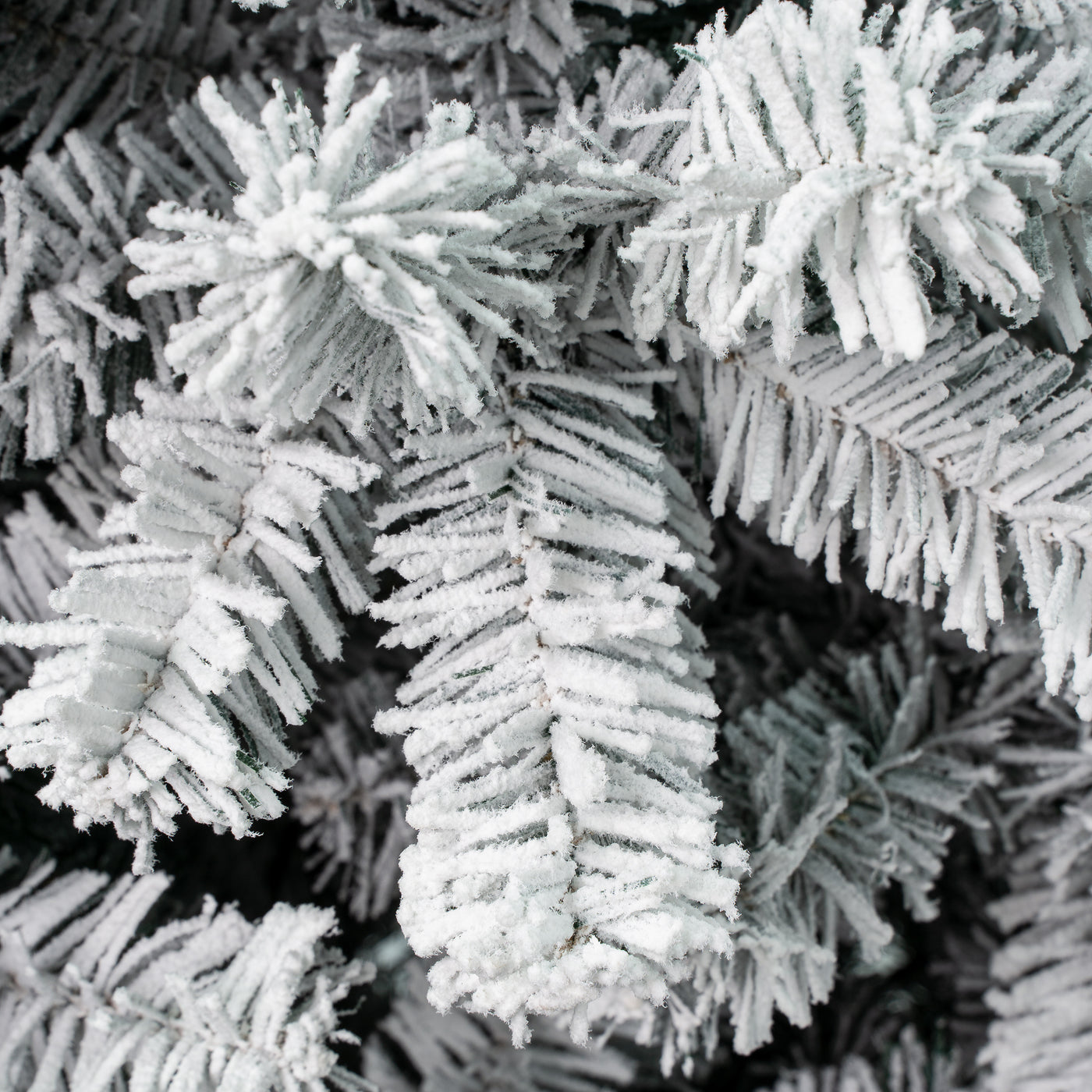 4.5 ft. Acacia Pencil Slim Flocked Tree - National Tree Company