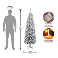 6 ft. Acacia Pencil Slim Flocked Tree - National Tree Company