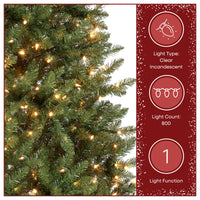 9 ft. Pre-Lit Dunhill Fir Slim Tree with Clear Lights - National Tree Company