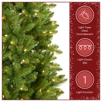7.5 ft. Pre-Lit Kingswood Fir Slim Tree with Clear Lights - National Tree Company