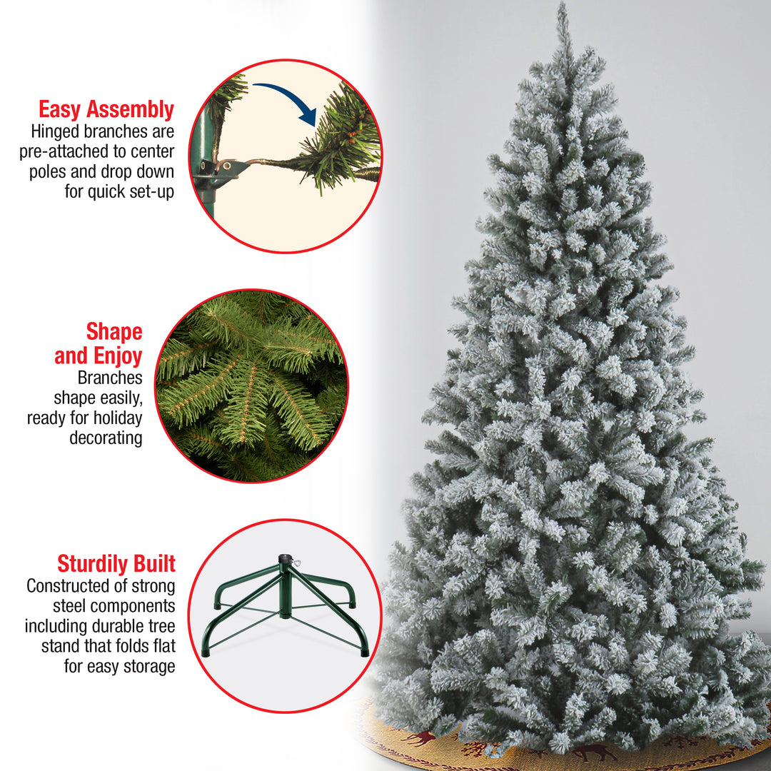 6.5 ft. Snowy North Valley® Spruce Tree