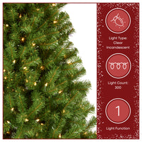 6 ft. Pre-Lit North Valley Spruce Tree with Clear Lights - National Tree Company