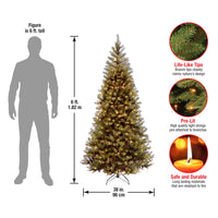 6 ft. Pre-Lit Aspen Spruce Slim Tree with Clear Lights - National Tree Company