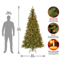 7.5 ft. Pre-Lit Aspen Spruce Slim Tree with Clear Lights - National Tree Company