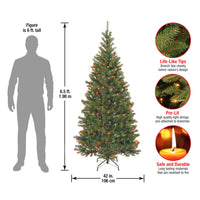 6.5 ft. Pre-Lit Aspen Spruce Slim Tree with Multicolor Lights - National Tree Company